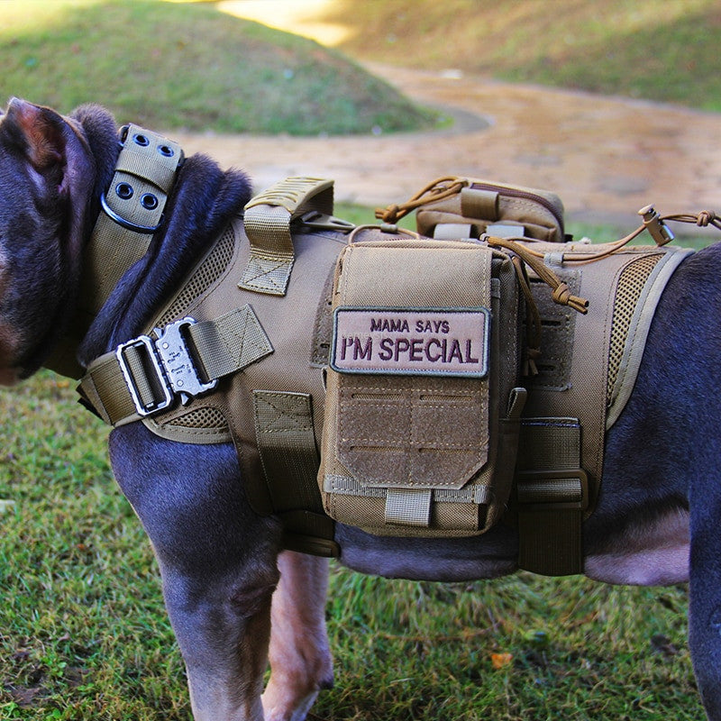 Tactical Dog Vest