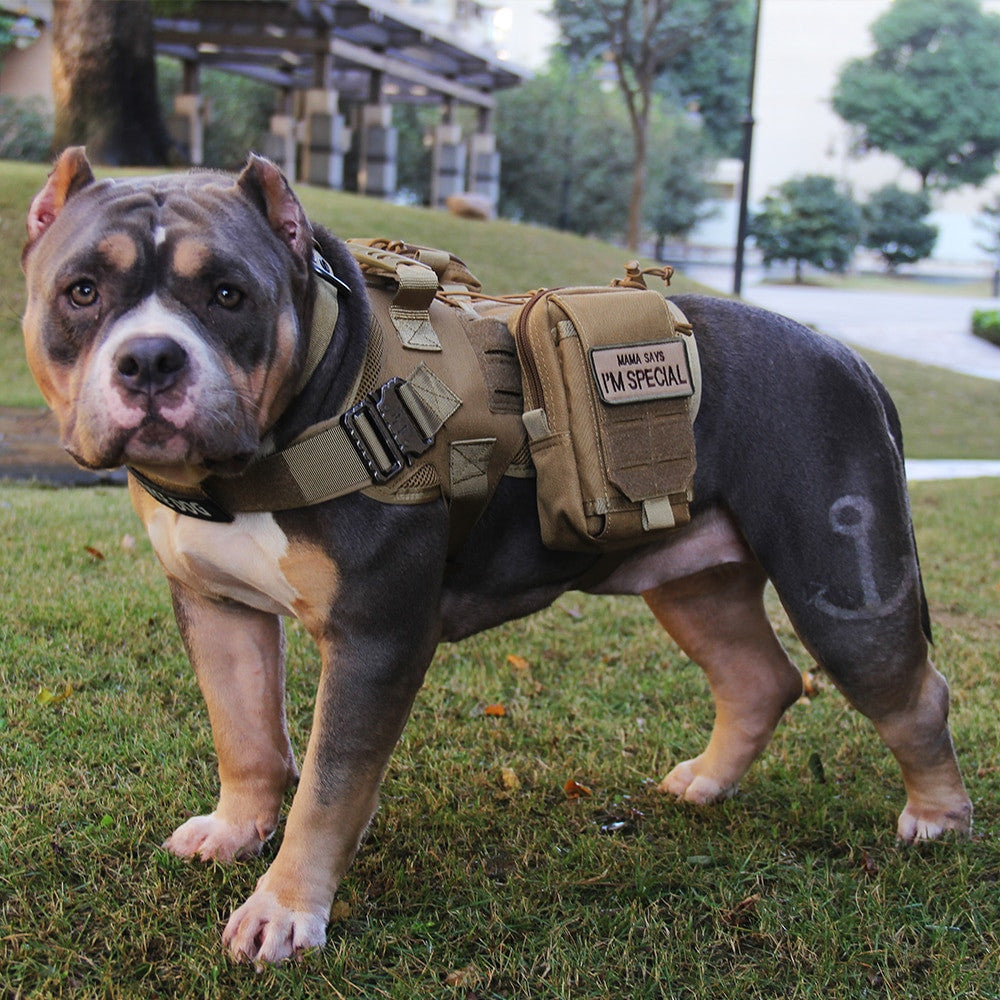 Tactical Dog Vest