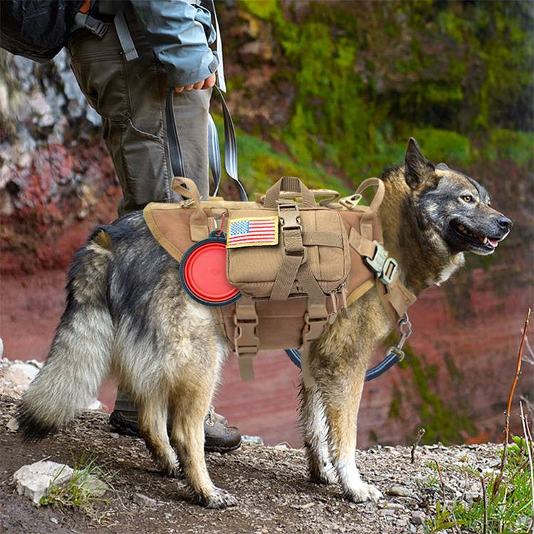 Hand Holding Rope Chest Vest Combat Leash Dog Backpack Special Training Straps